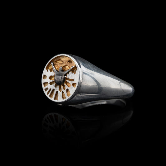 Let Me Show You The World in My Eyes Signet Ring in Silver with Gold Iris