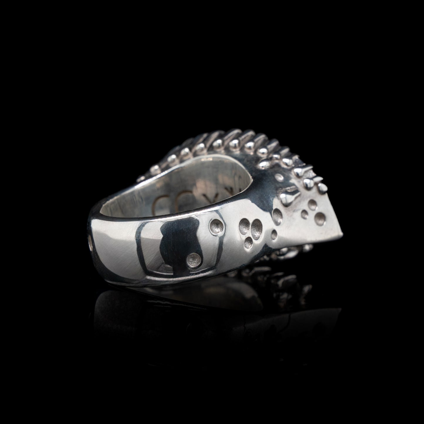 A Vision Etched In Starlight Full Eye Statement Ring in Silver