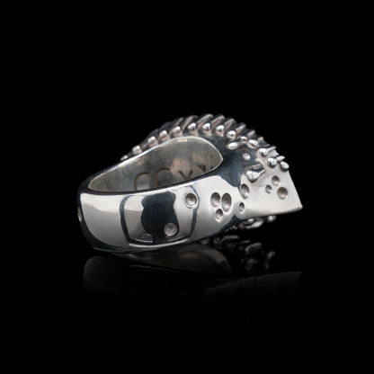 A Vision Etched In Starlight Full Eye Statement Ring in Silver