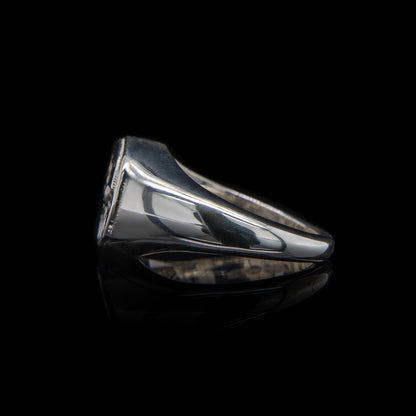 Let Me Show You The World In My Eyes Signet Ring in Silver with Black Diamond